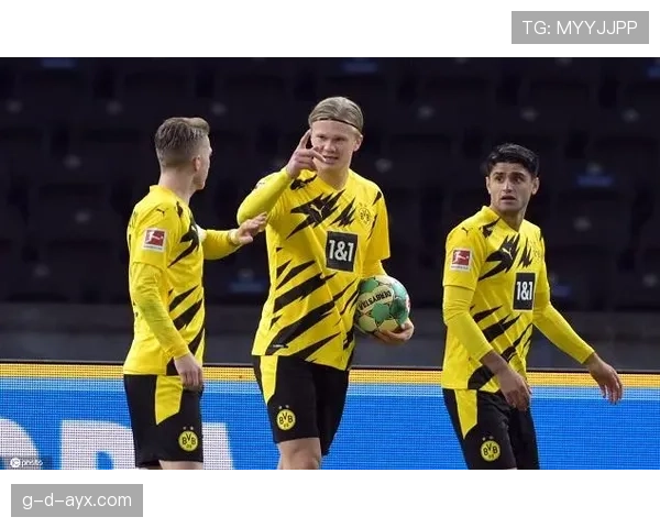 多特蒙德新赛季蓄势待发:青春风暴引领复兴之路 多特蒙德新赛季蓄势待发:青春风暴引领复兴之路