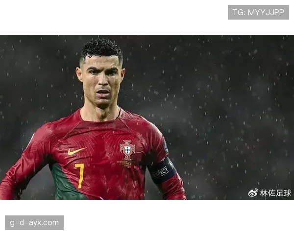 葡萄牙反击大师持续革新战术体系，引领足球格局新变革