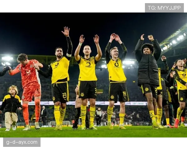 德甲球队新援盘点：夏窗引援表现稳健，多队竞争力增强