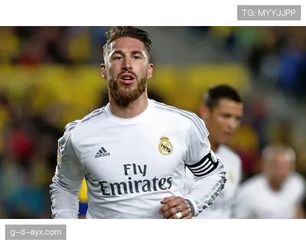 拉莫斯技术全面性