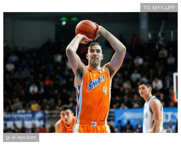 斯科拉内线单打提升球队篮板率显著拉开攻防差距